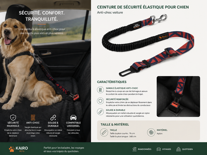 Infographie présentant les caractéristiques, dimensions et avantages de la ceinture de sécurité extensible pour chien.