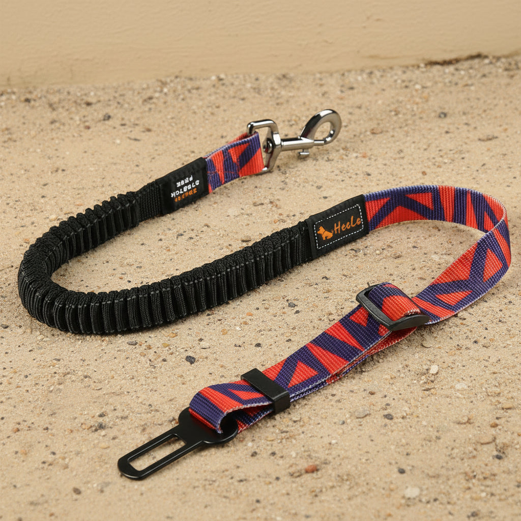 Ceinture de sécurité extensible pour chien orange et violette avec mousqueton en métal et sangle réglable.
