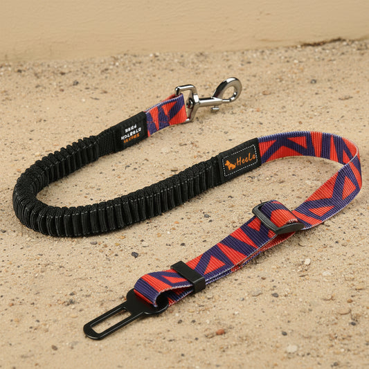 Ceinture de sécurité extensible pour chien orange et violette avec mousqueton en métal et sangle réglable.