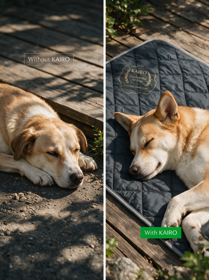 Tapis thermique