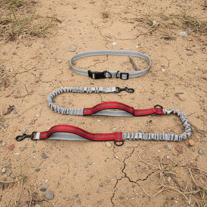 Laisse de course mains libres pour chien rouge avec sangle élastique absorbant les à-coups.