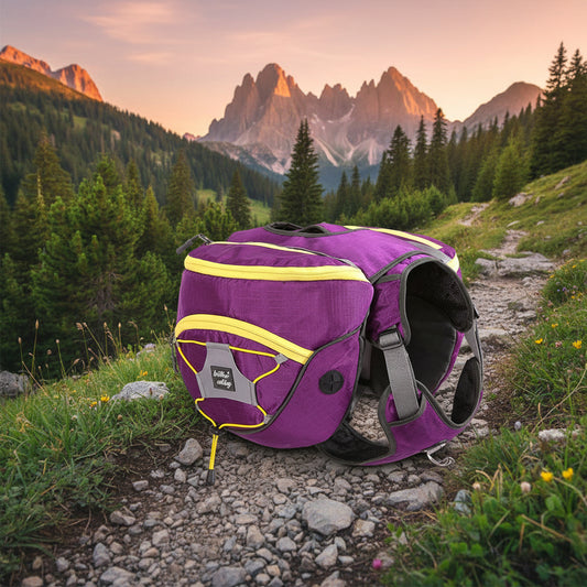 Sac à dos de randonnée pour chien violet avec harnais ajustable et compartiments